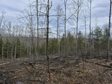 Crotty Drive Rockingham VT 05301