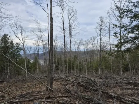 Crotty Drive Rockingham VT 05301
