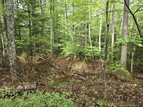 Crotty Drive Rockingham VT 05301