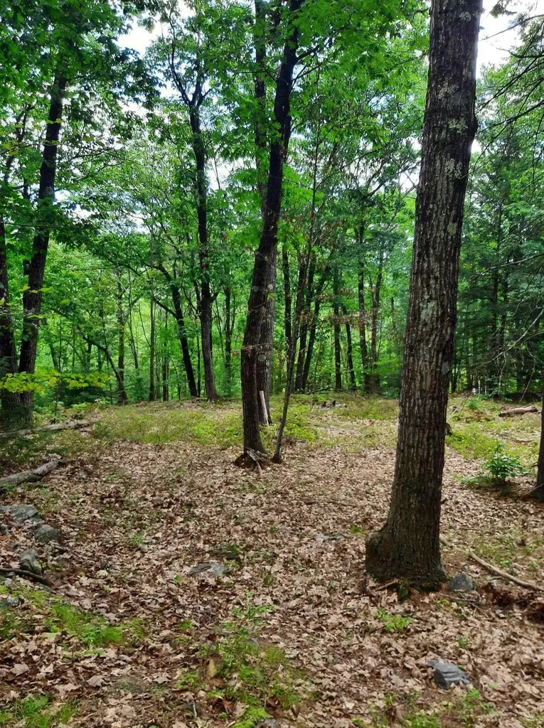 319 River S Road Putney VT 05346