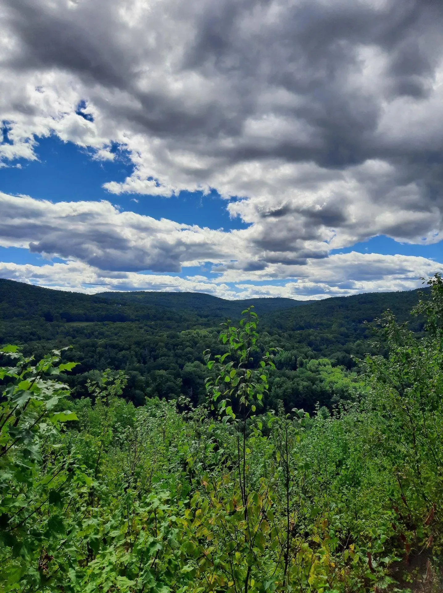 319 River S Road Putney VT 05346