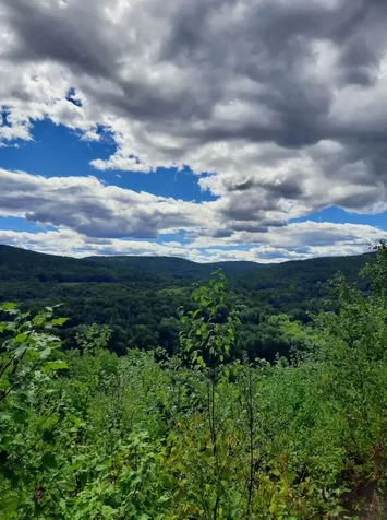 319 River S Road Putney VT 05346
