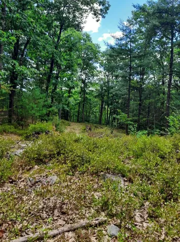 319 River S Road Putney VT 05346