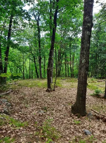 319 River S Road Putney VT 05346