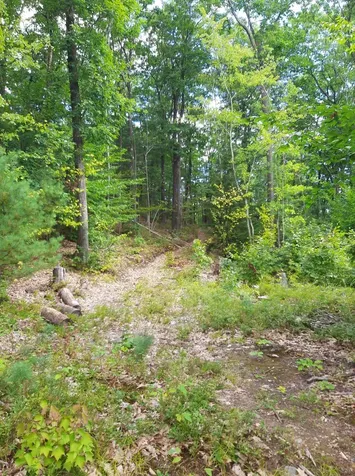 319 River S Road Putney VT 05346
