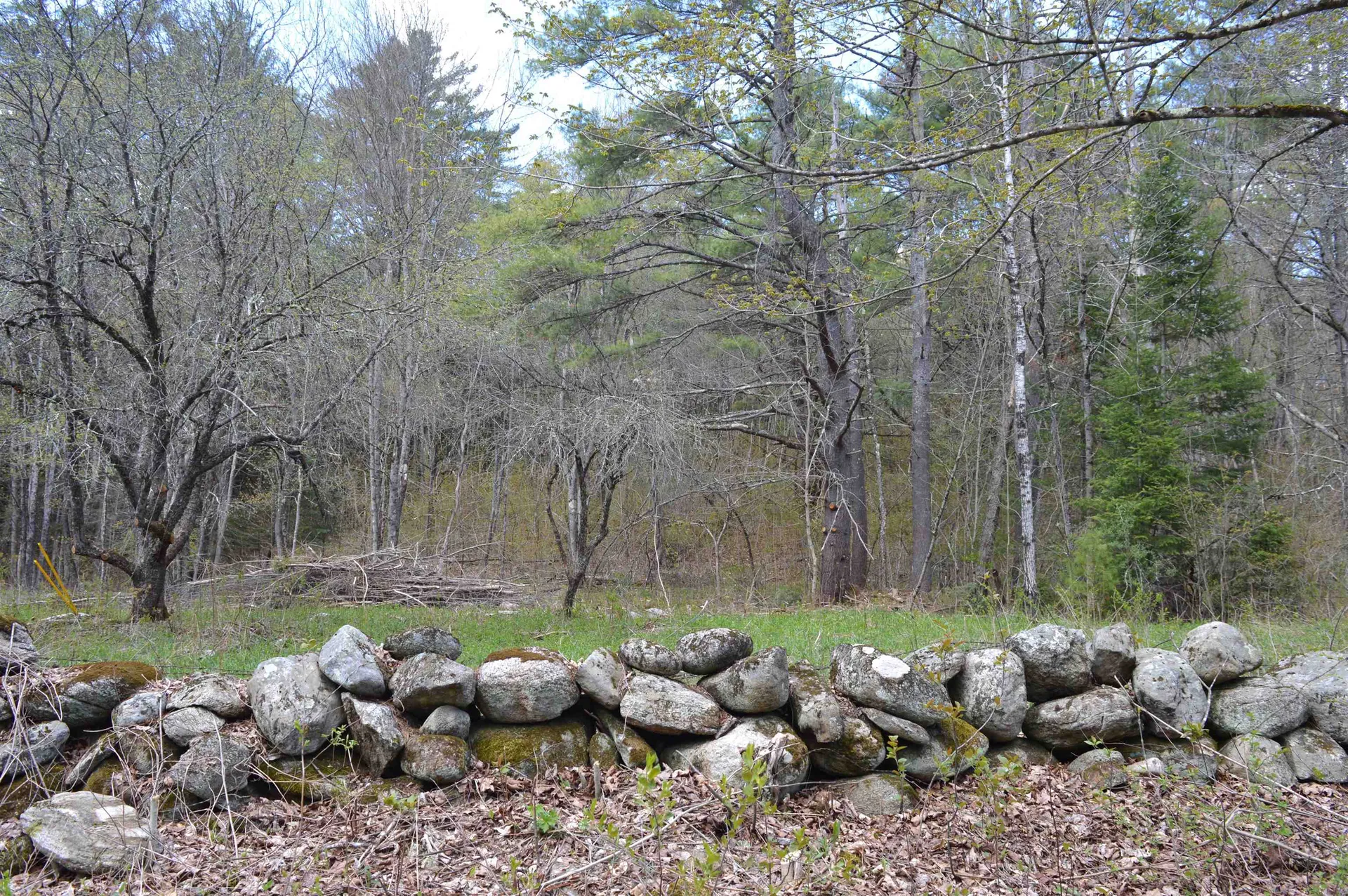 407 River Road Acworth NH 03601
