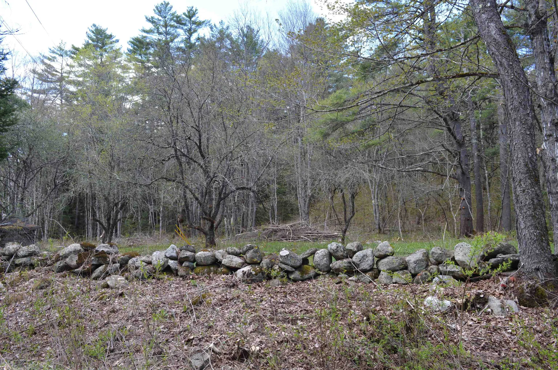 407 River Road Acworth NH 03601