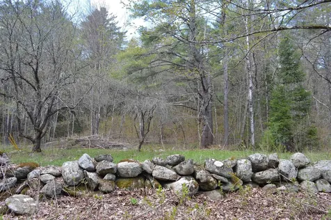 407 River Road Acworth NH 03601