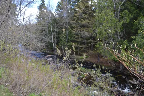 407 River Road Acworth NH 03601