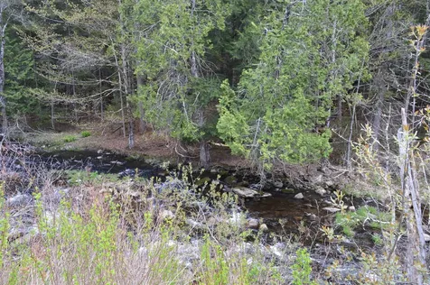 407 River Road Acworth NH 03601