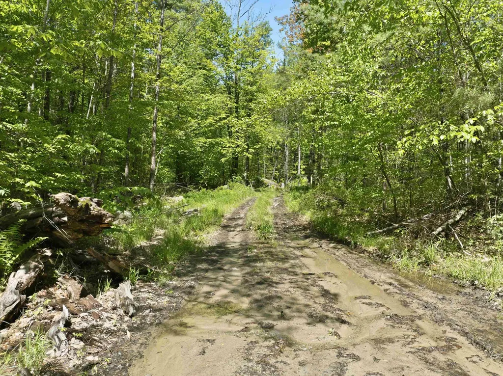 20 Fortsalong Road Meredith NH 03253