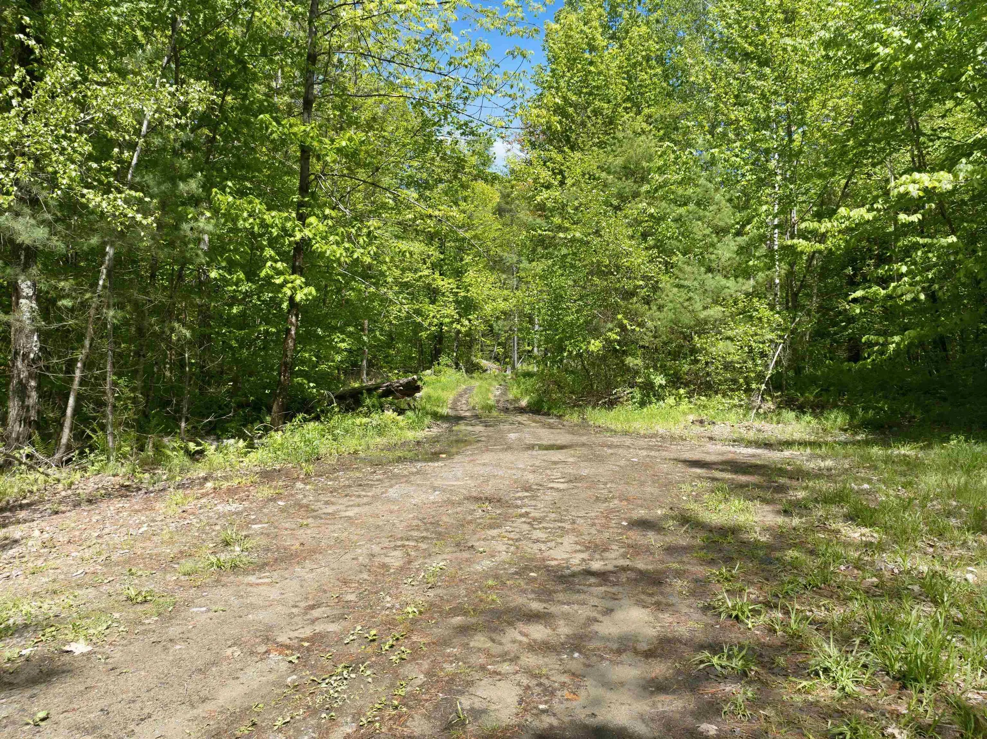 20 Fortsalong Road Meredith NH 03253