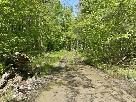 20 Fortsalong Road Meredith NH 03253