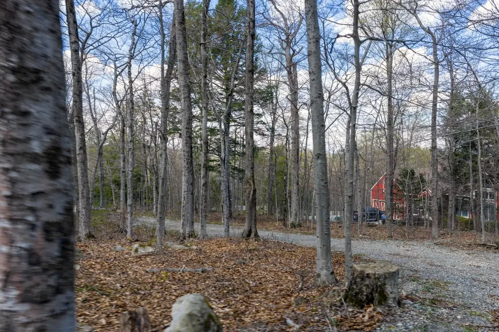 19 Maple Hill Road Winhall VT 05340