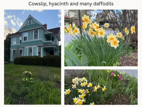 41 Chapin Street Brattleboro VT 05301
