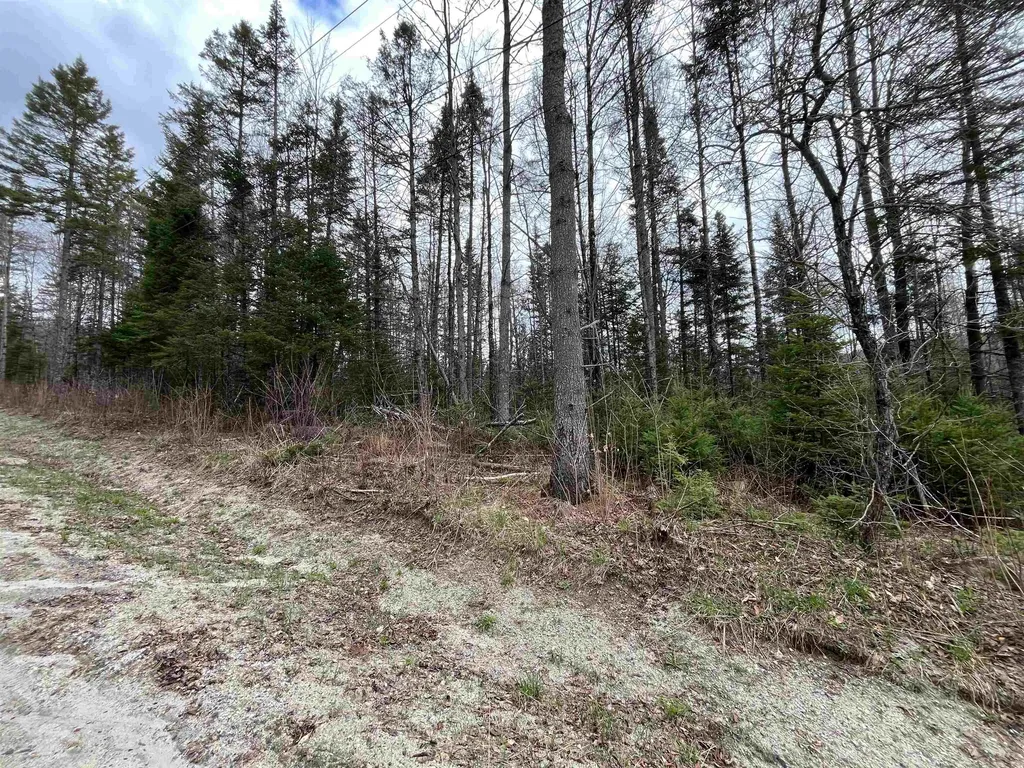 Tbd Center Pond Road Newark VT 05871