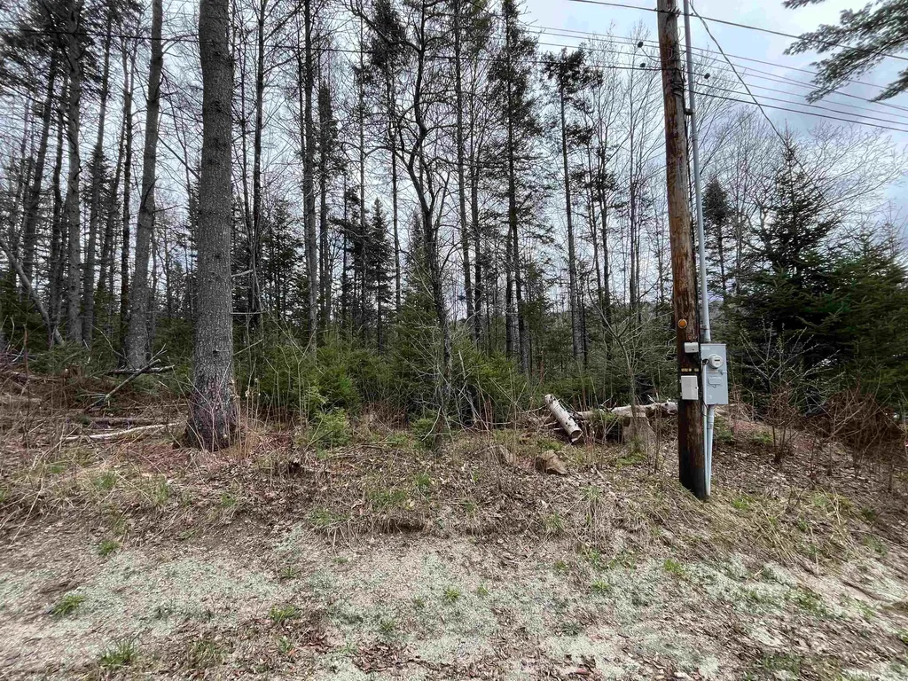 Tbd Center Pond Road Newark VT 05871