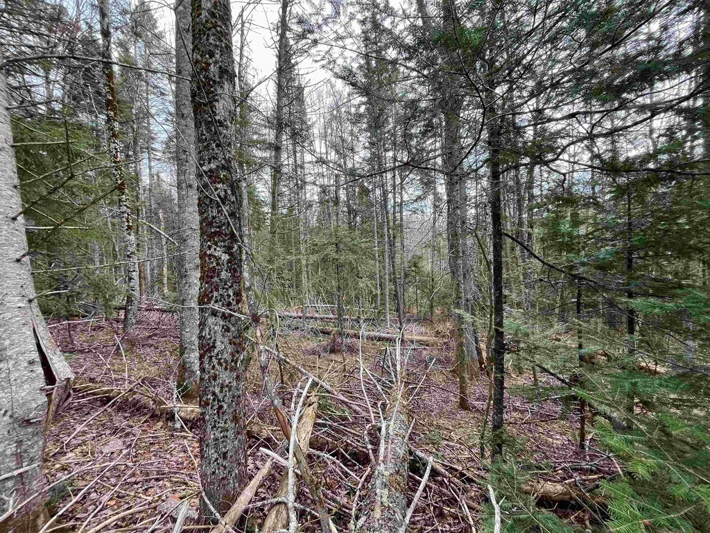 Tbd Center Pond Road Newark VT 05871