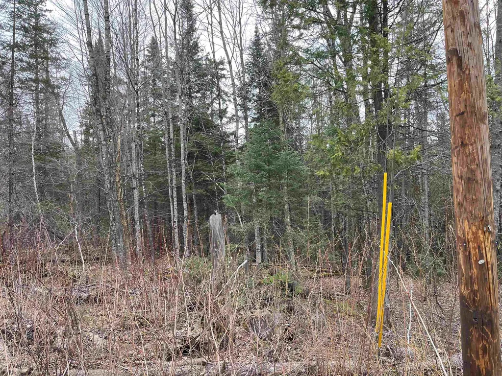 Tbd Center Pond Road Newark VT 05871