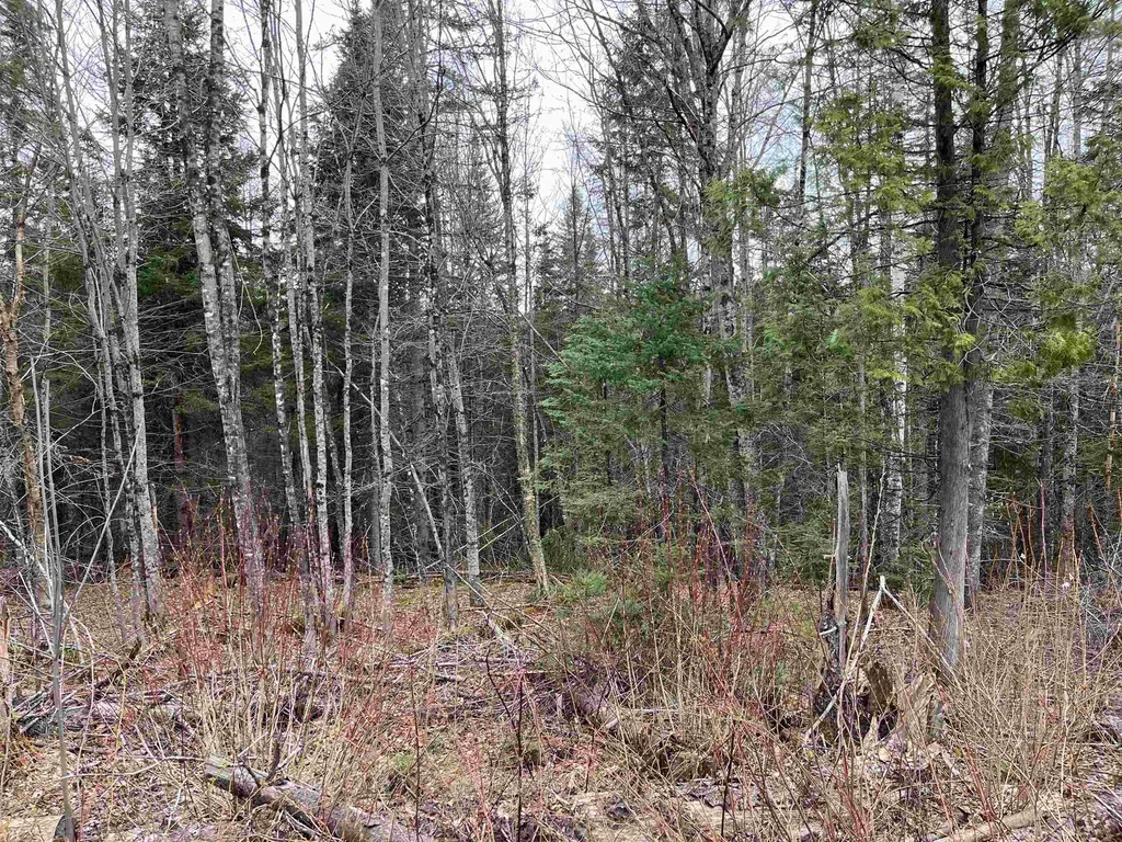 Tbd Center Pond Road Newark VT 05871