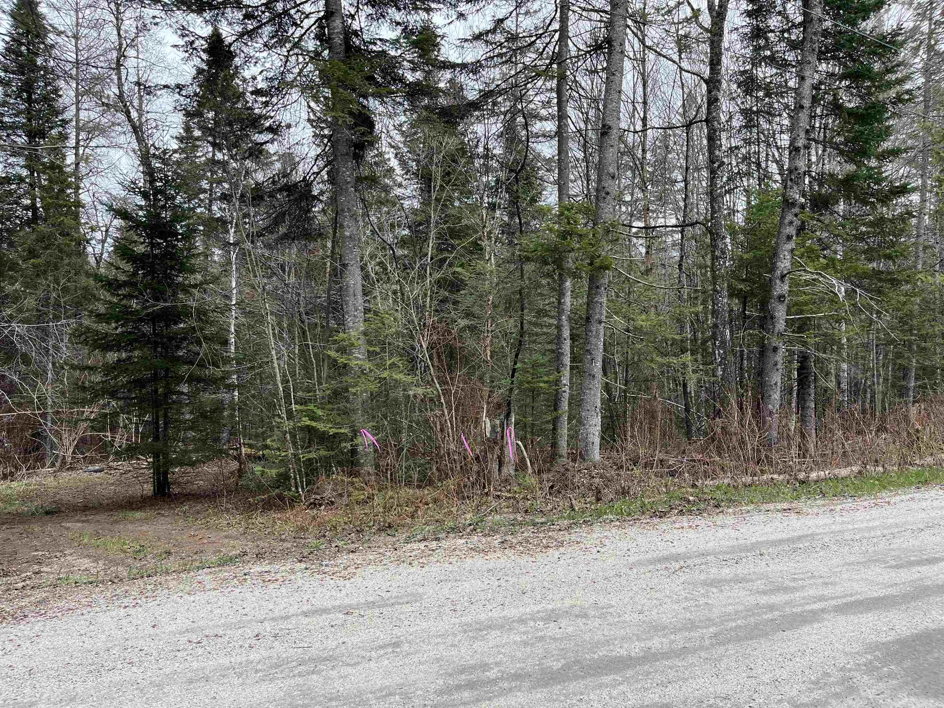Tbd Center Pond Road Newark VT 05871