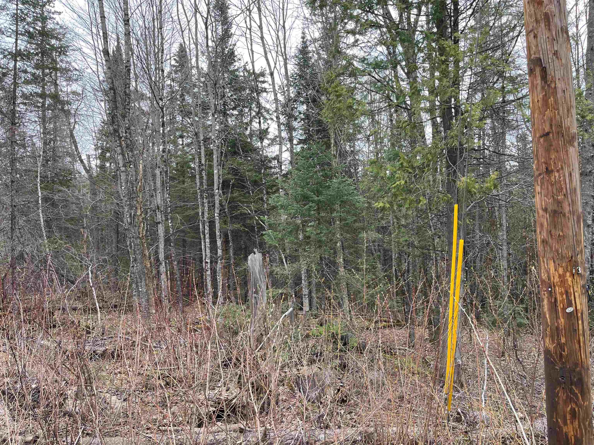 Tbd Center Pond Road Newark VT 05871