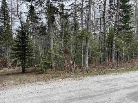 Tbd Center Pond Road Newark VT 05871