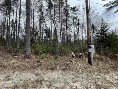 Tbd Center Pond Road Newark VT 05871