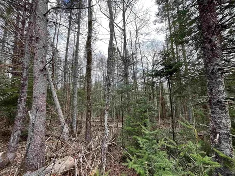 Tbd Center Pond Road Newark VT 05871