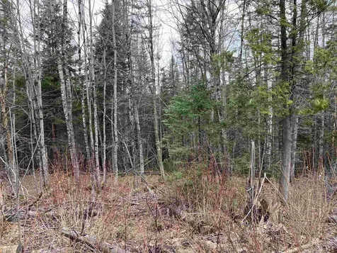 Tbd Center Pond Road Newark VT 05871