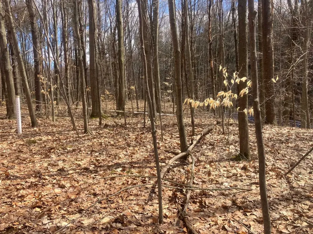 74 Jedware Circle Highgate VT 05459