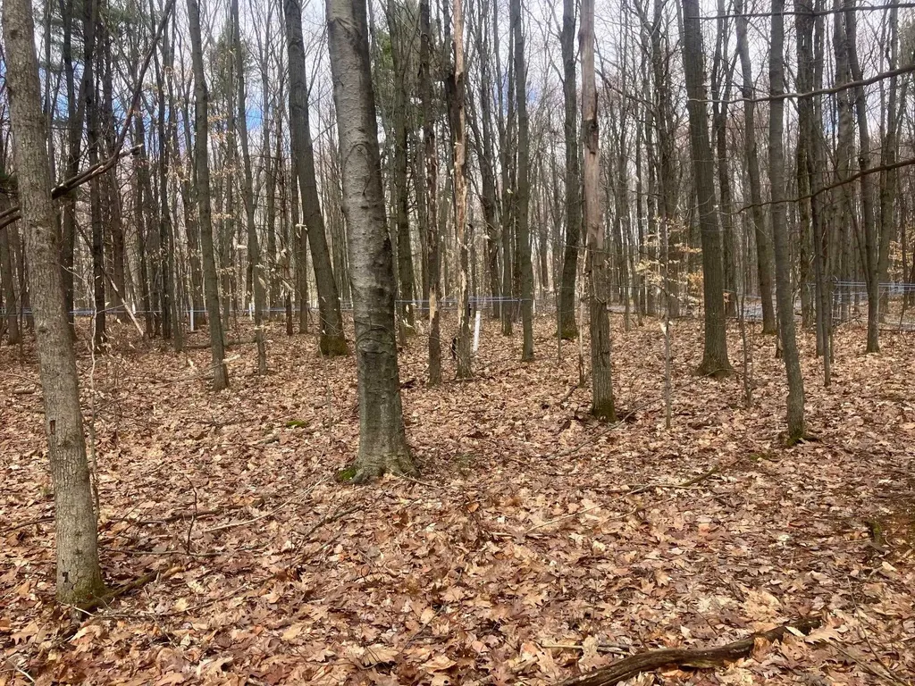 74 Jedware Circle Highgate VT 05459