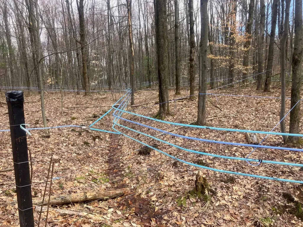 74 Jedware Circle Highgate VT 05459