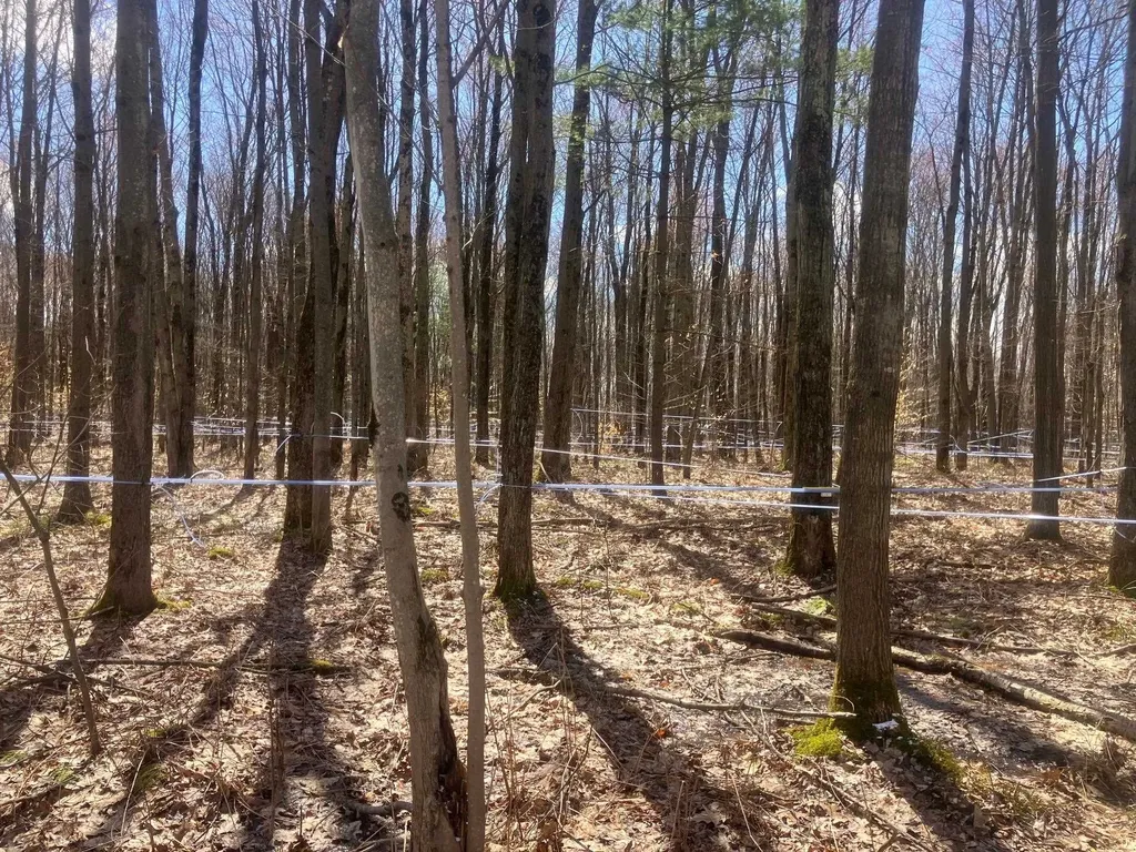 74 Jedware Circle Highgate VT 05459
