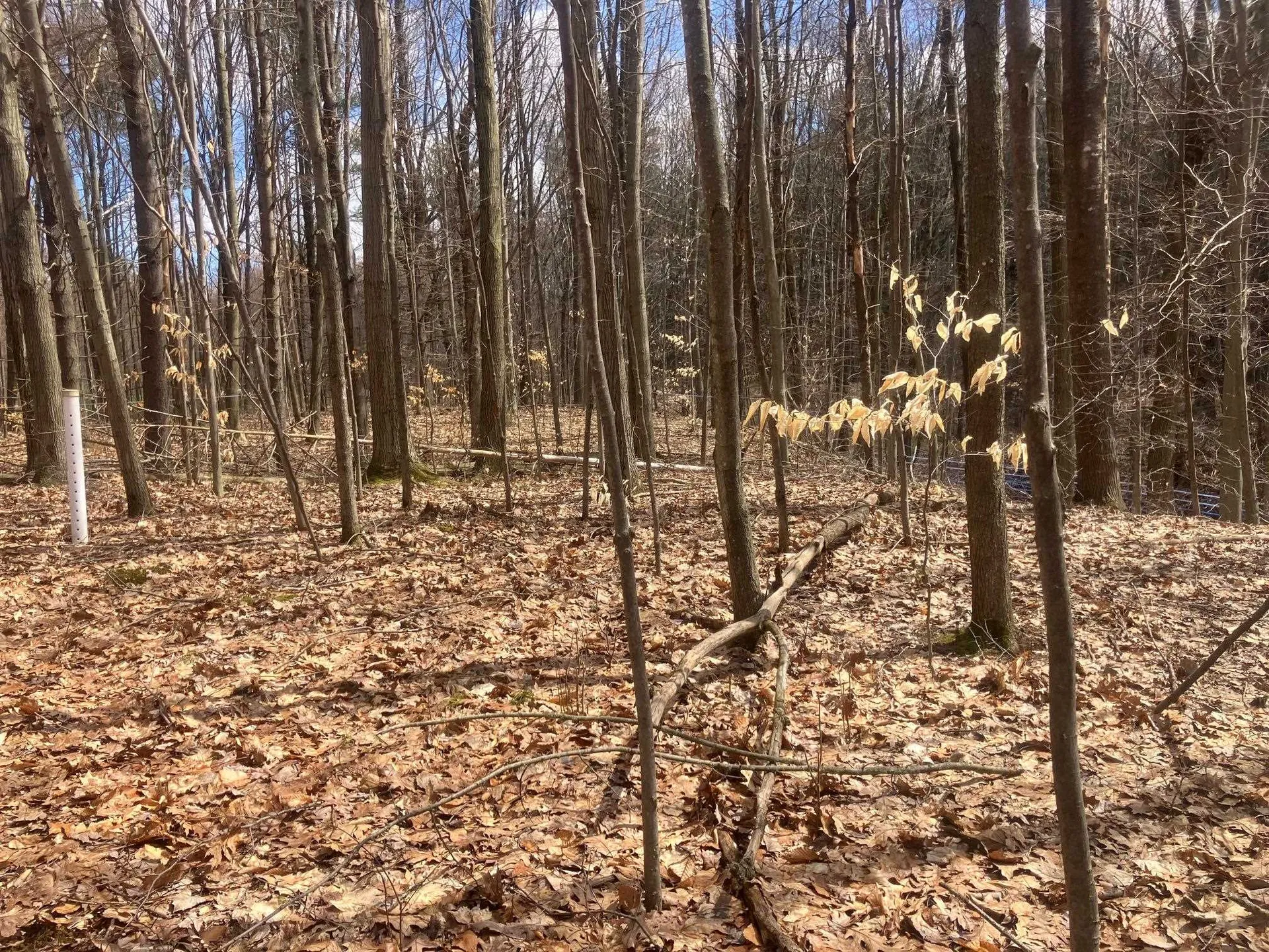 74 Jedware Circle Highgate VT 05459