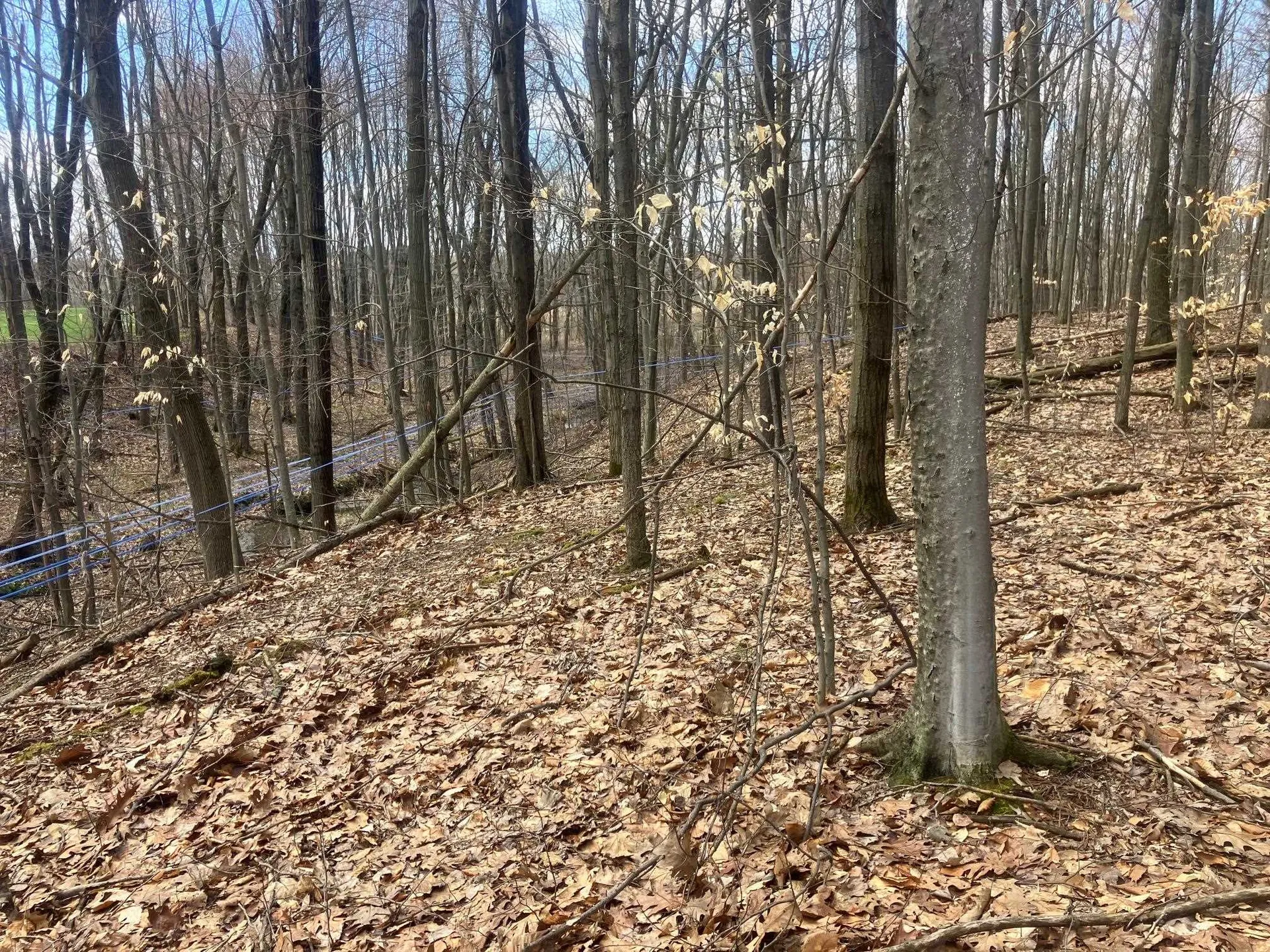 74 Jedware Circle Highgate VT 05459