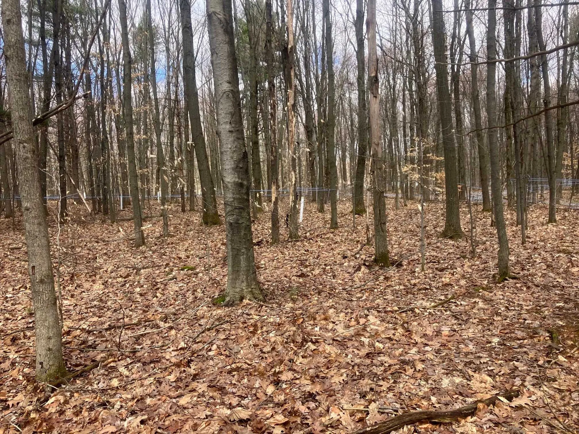 74 Jedware Circle Highgate VT 05459