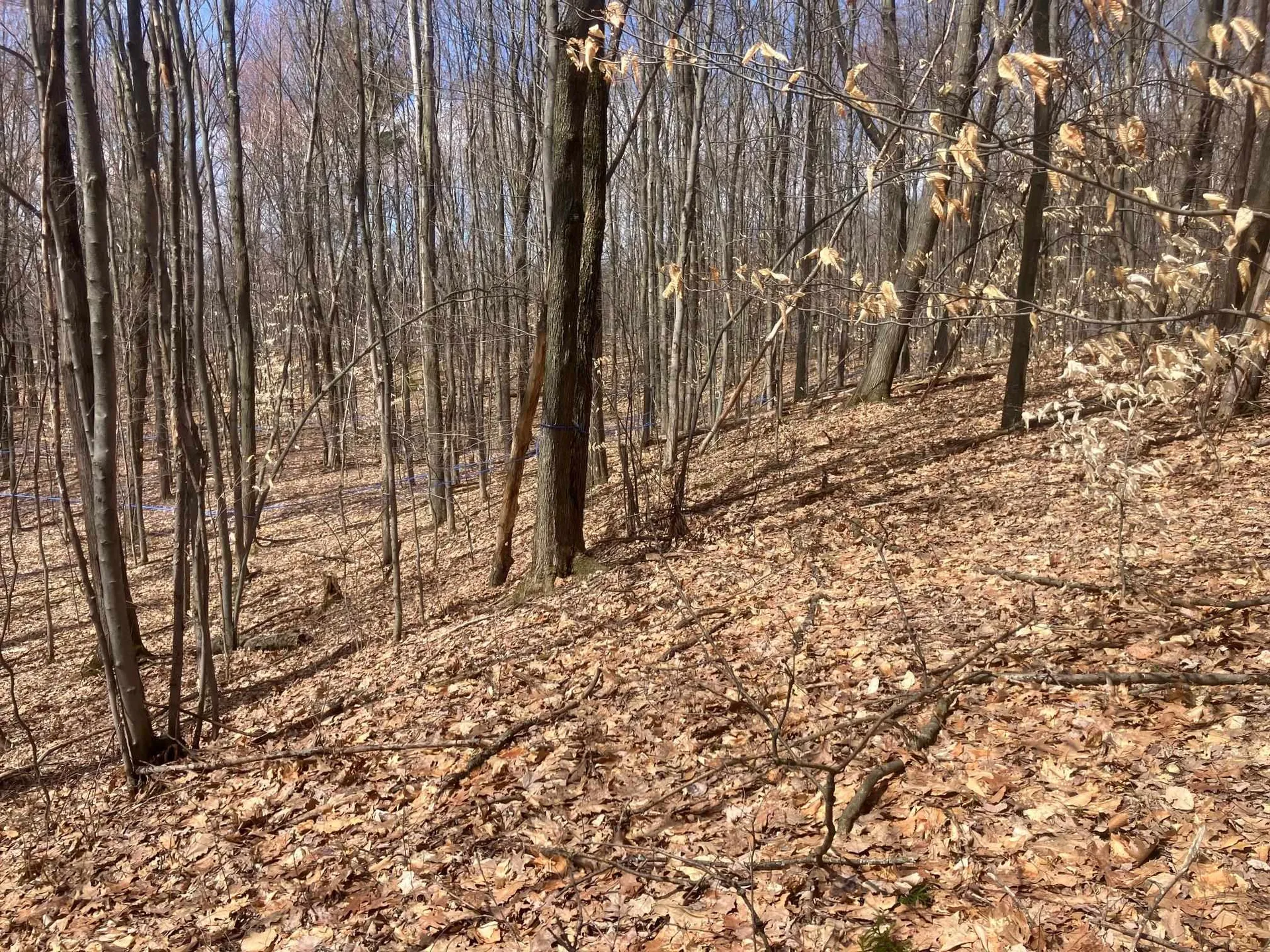 74 Jedware Circle Highgate VT 05459