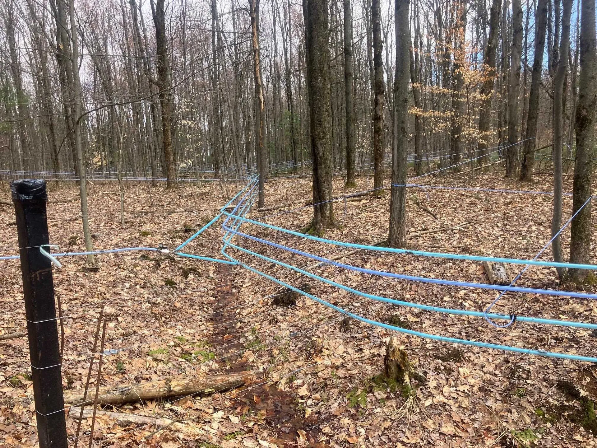 74 Jedware Circle Highgate VT 05459