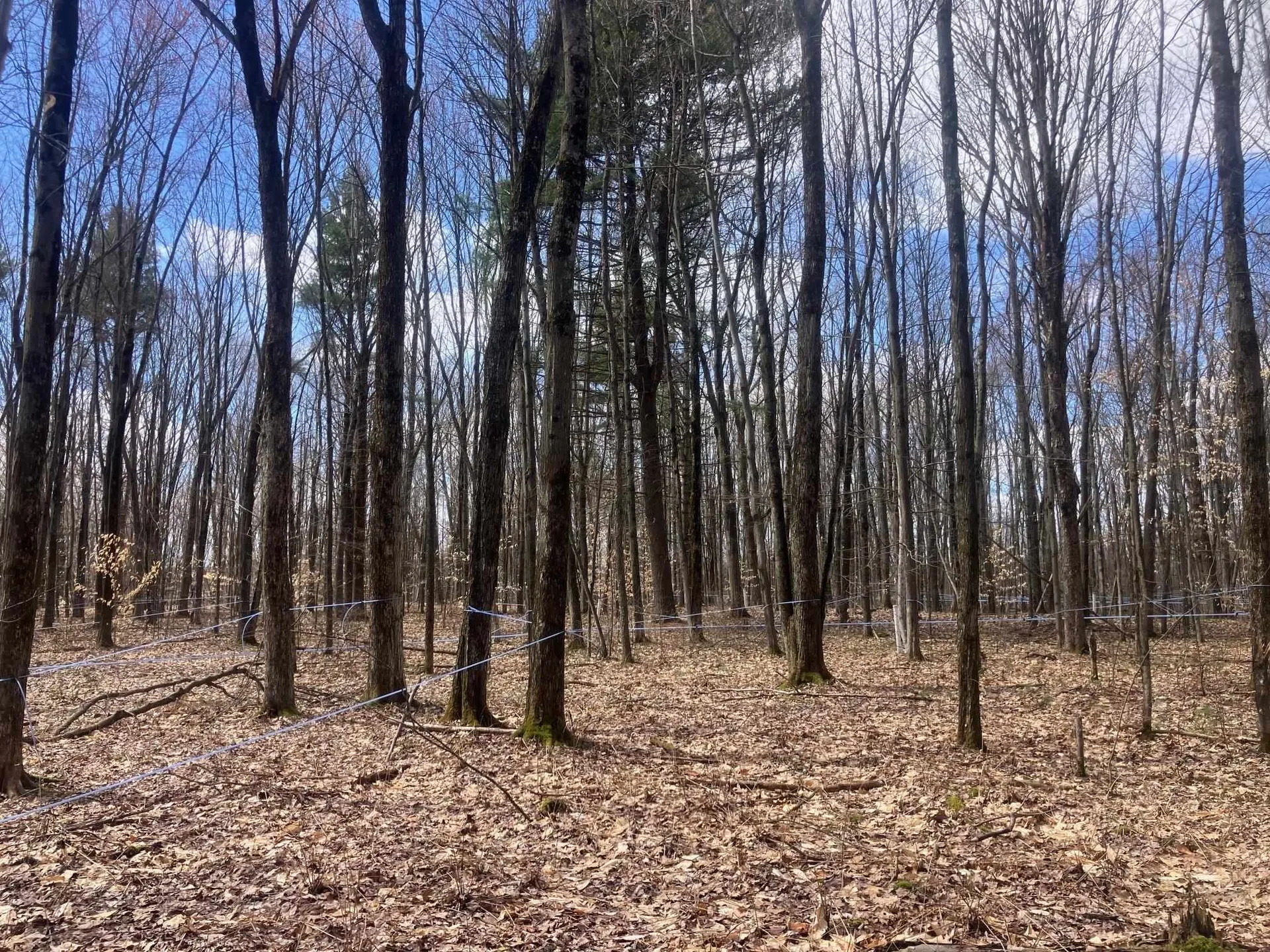 74 Jedware Circle Highgate VT 05459