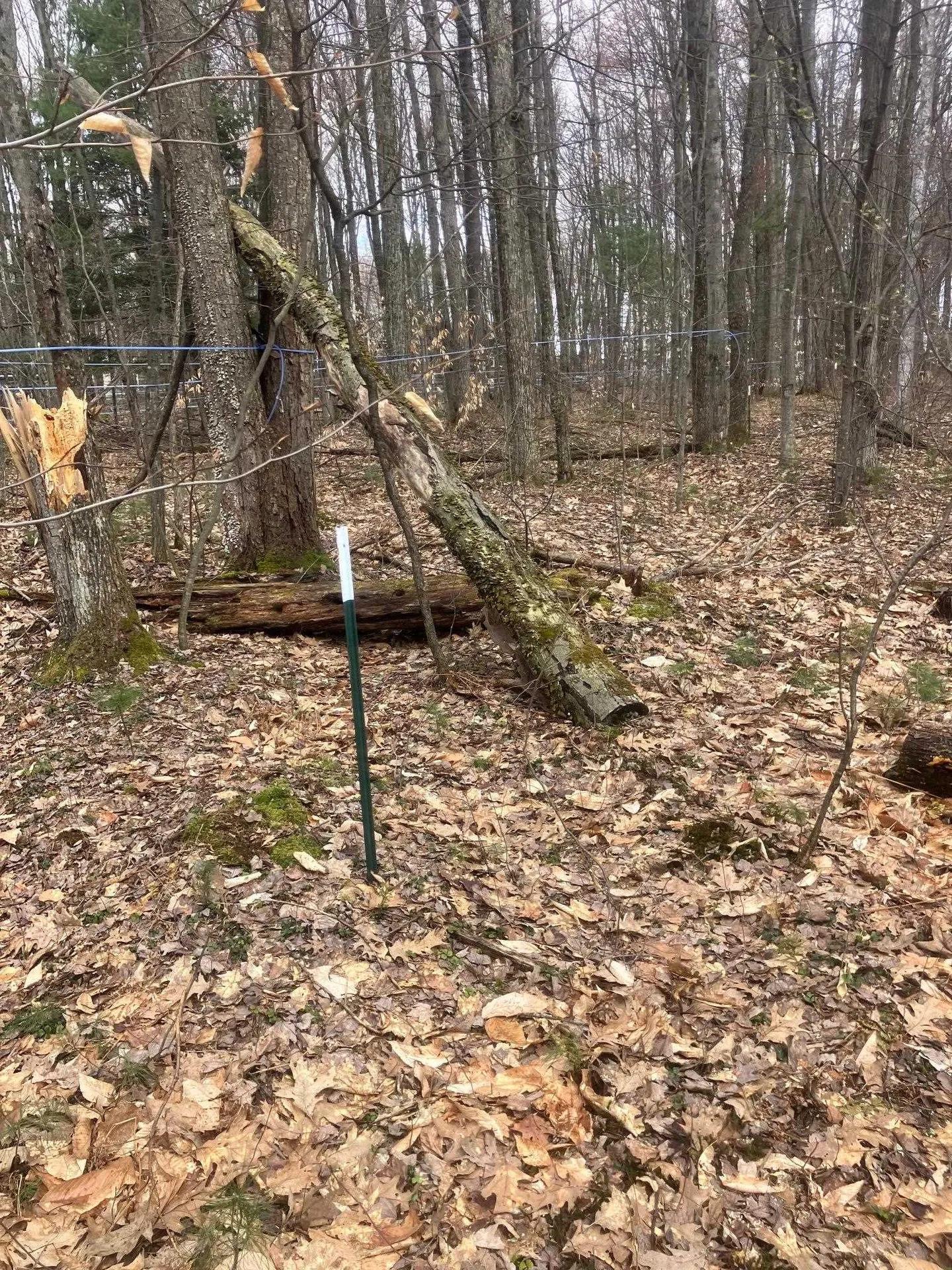 74 Jedware Circle Highgate VT 05459