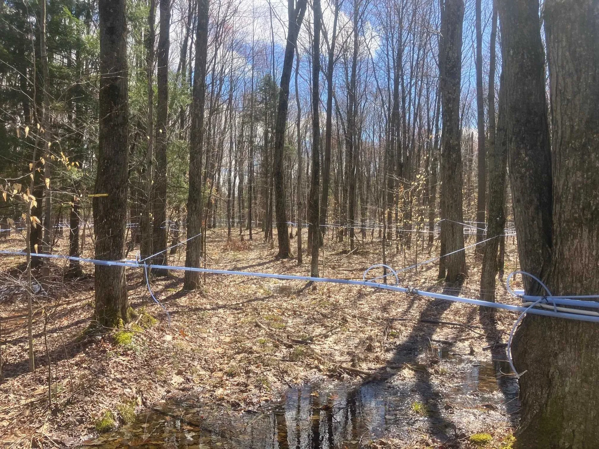 74 Jedware Circle Highgate VT 05459