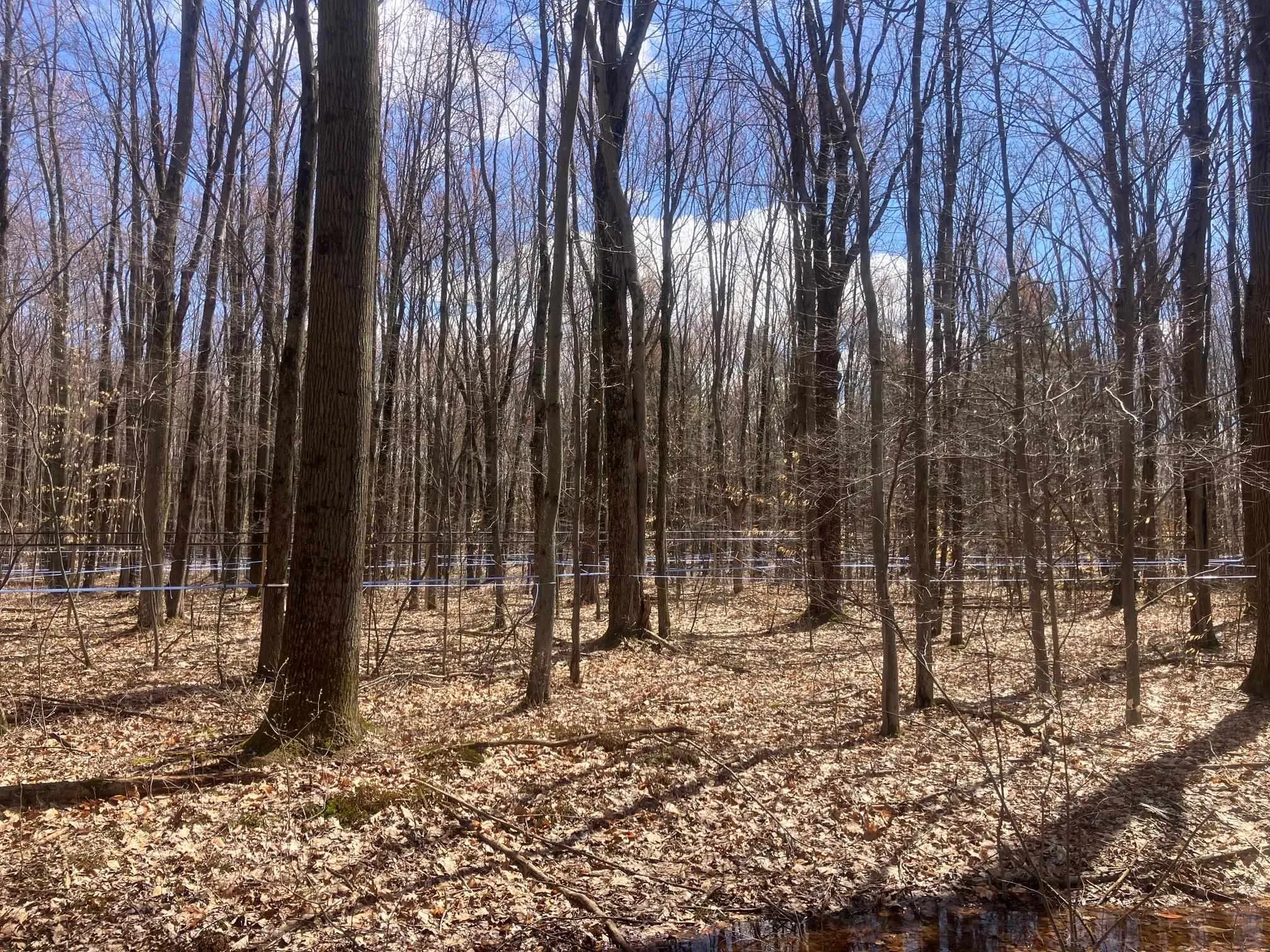 74 Jedware Circle Highgate VT 05459