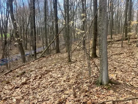 74 Jedware Circle Highgate VT 05459