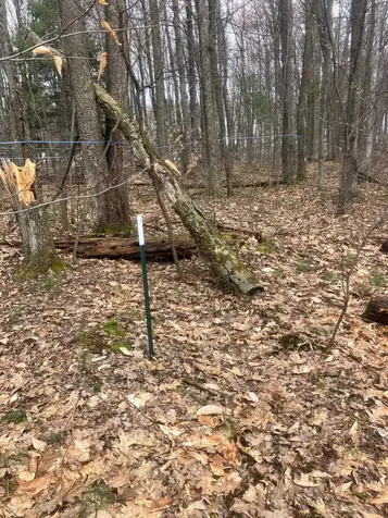 74 Jedware Circle Highgate VT 05459