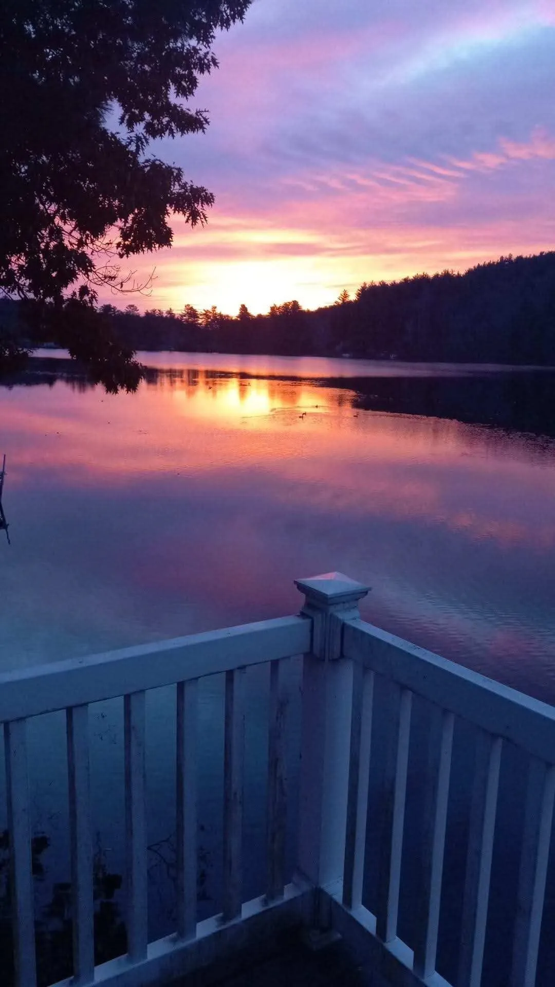 21 Hinds Lane Pelham NH 03076