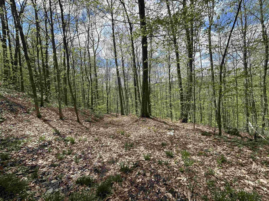 188 Rattlesnake Mountain Road Townshend VT 05353