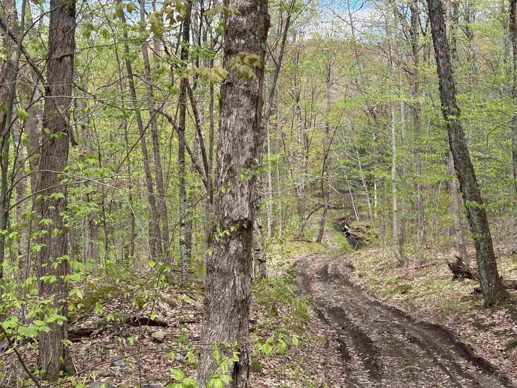 188 Rattlesnake Mountain Road Townshend VT 05353