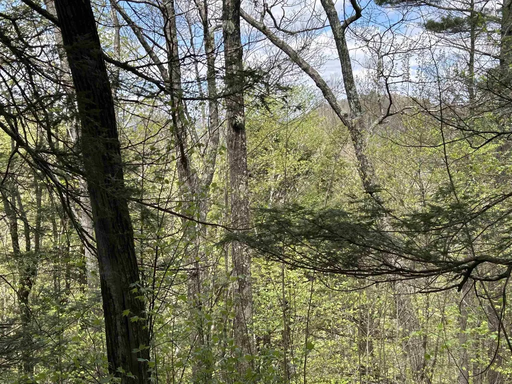 188 Rattlesnake Mountain Road Townshend VT 05353
