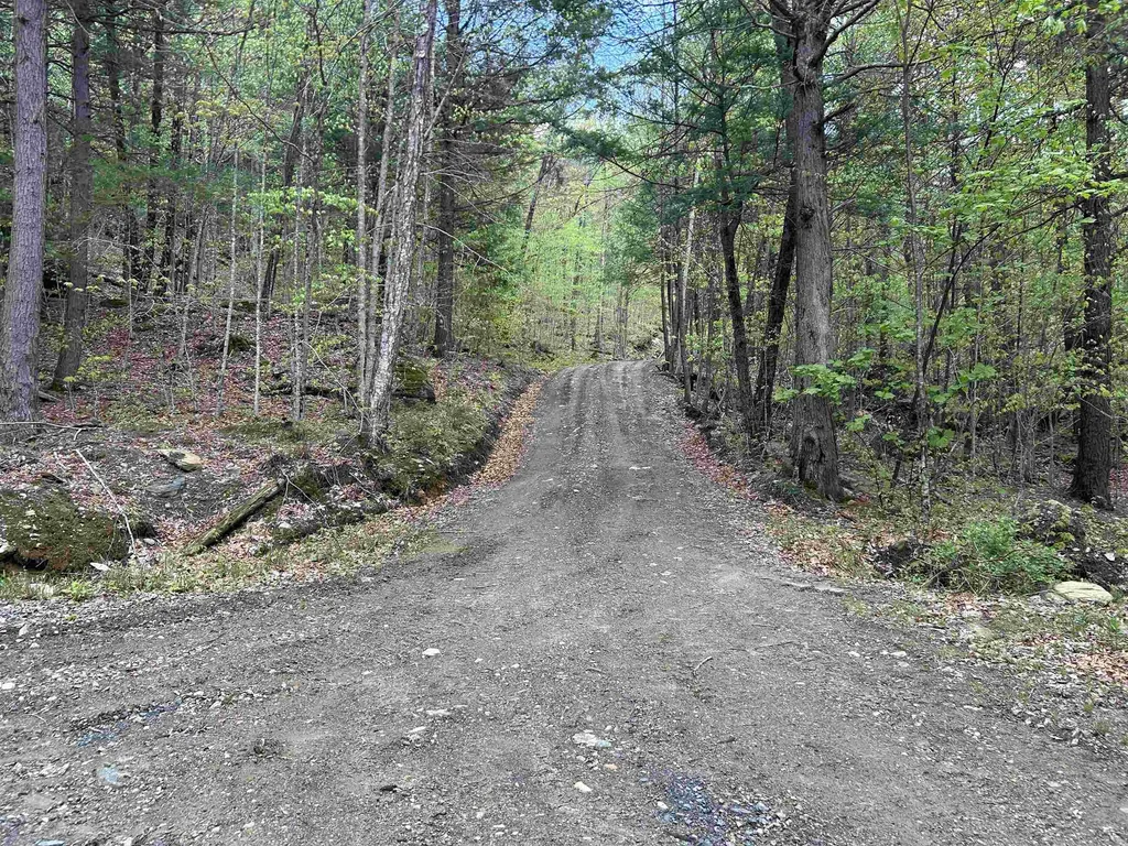 188 Rattlesnake Mountain Road Townshend VT 05353